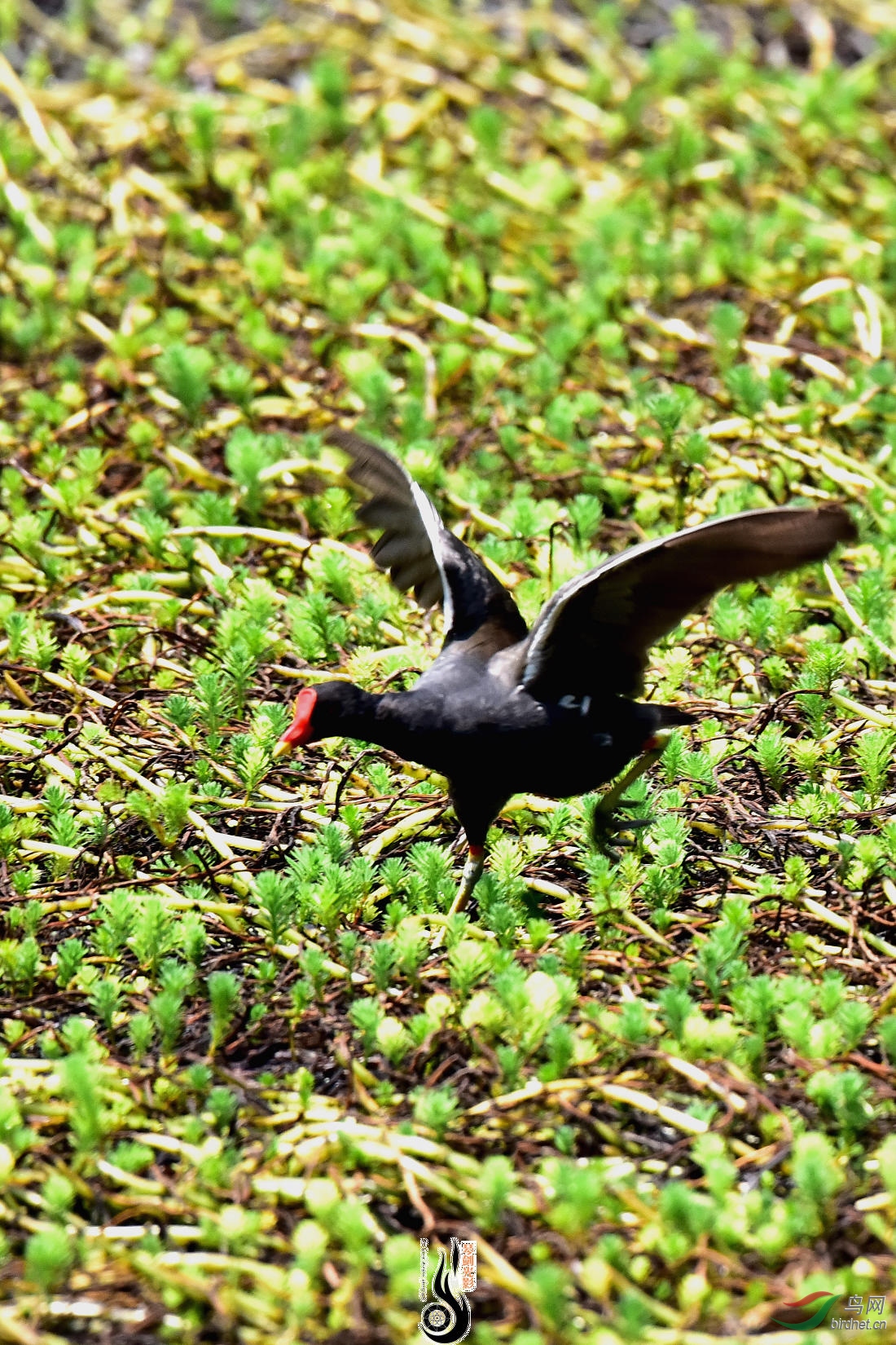 DSC_3916.JPG