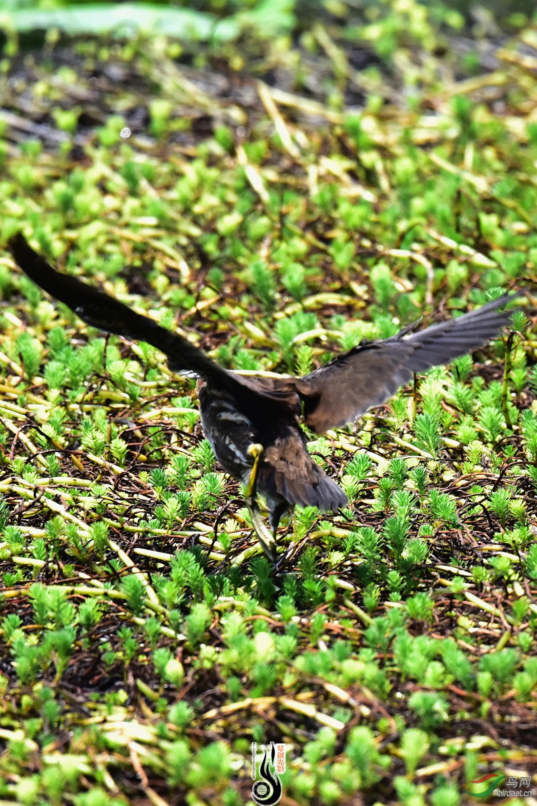 DSC_3983.JPG
