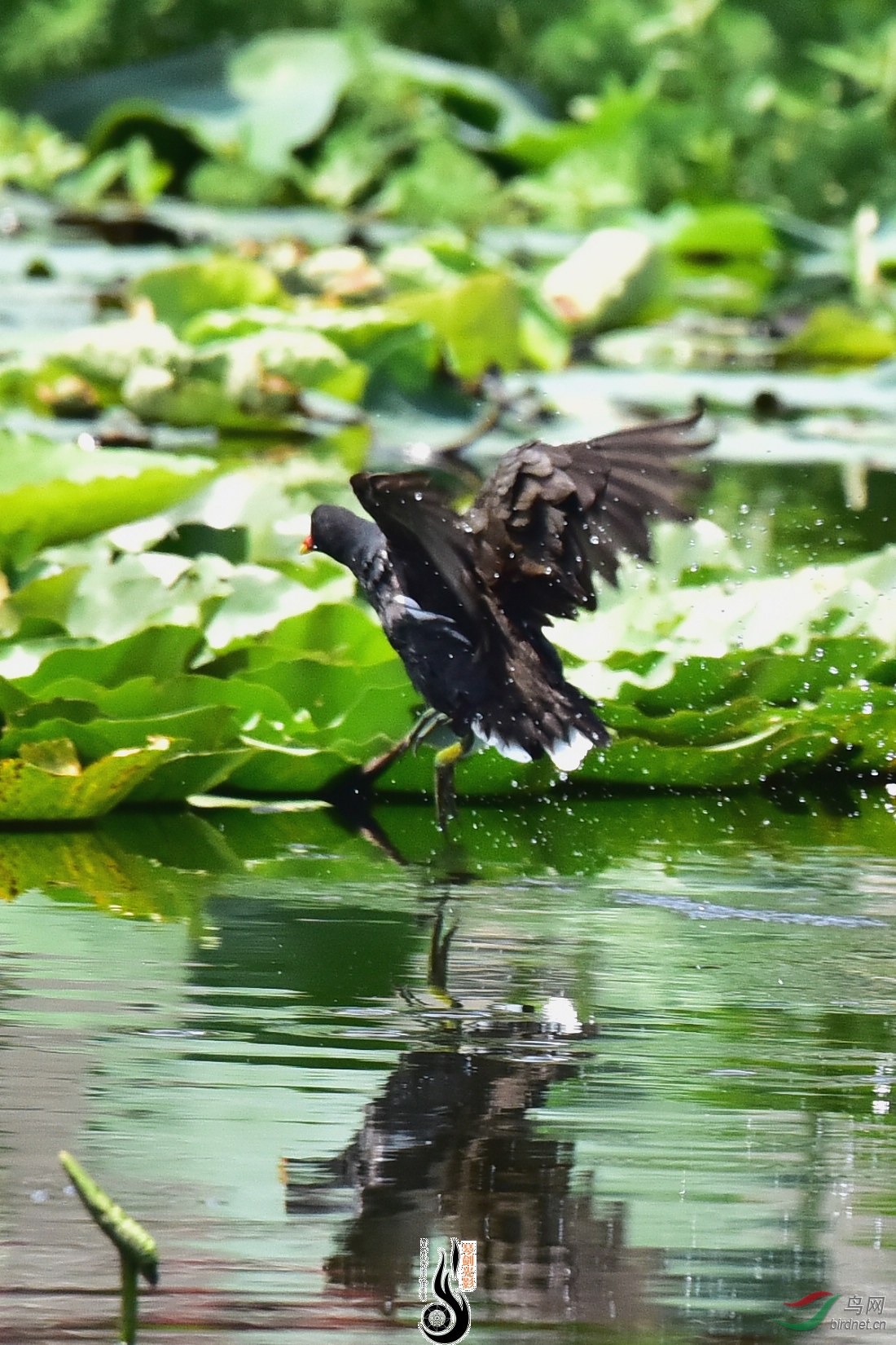 DSC_3965.JPG