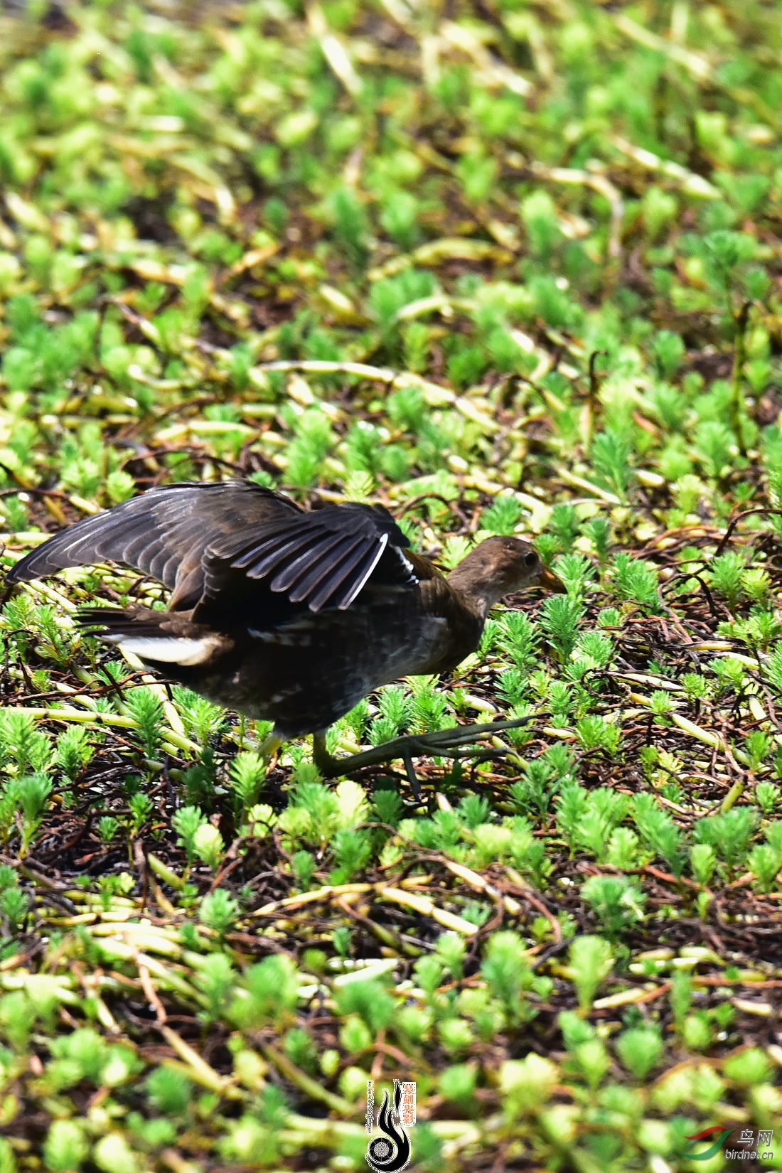 DSC_3980.JPG