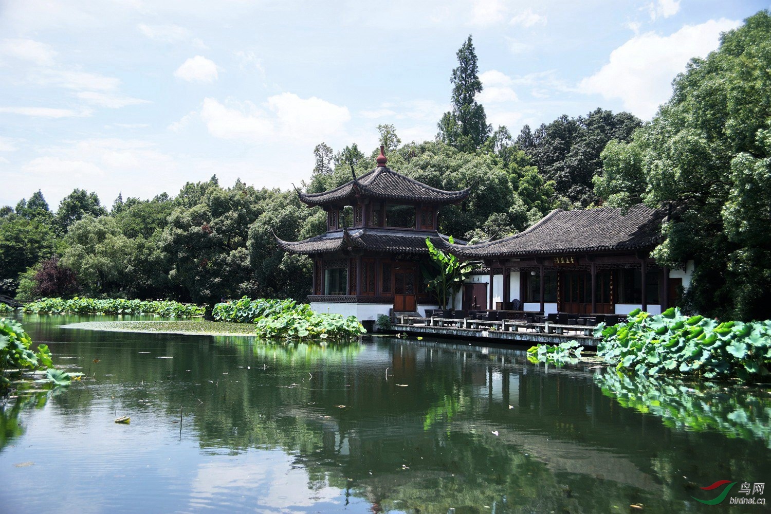 西湖麴院風荷荷景