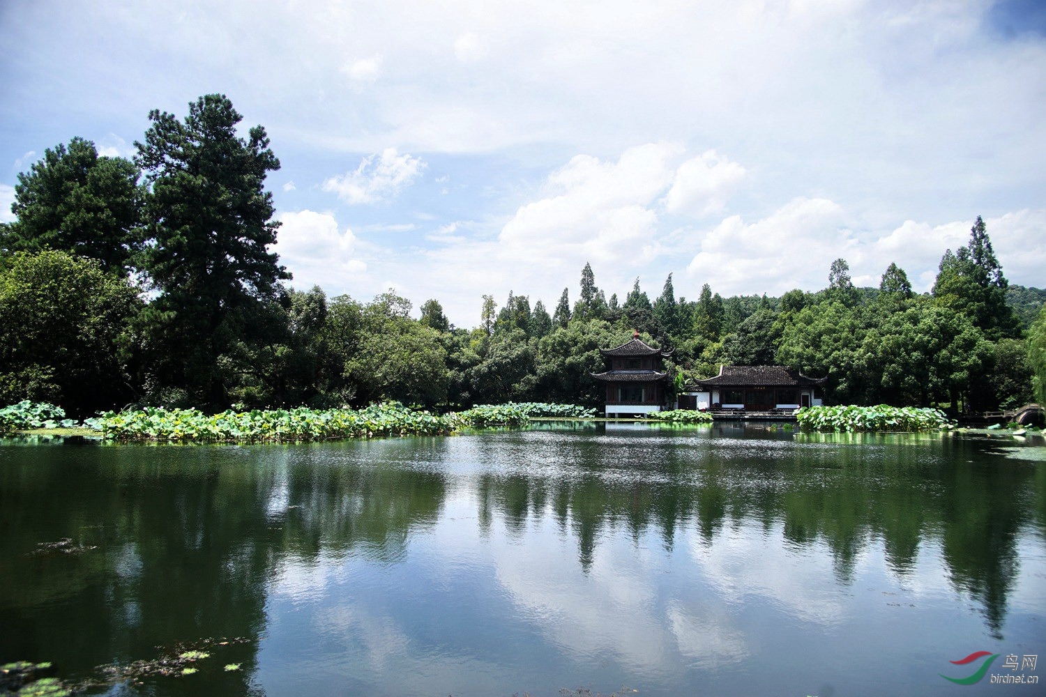 西湖麴院風荷荷景