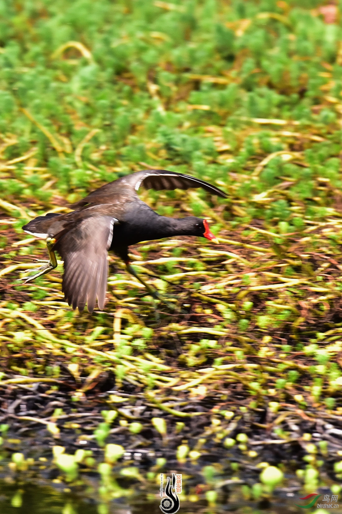 DSC_4066.JPG
