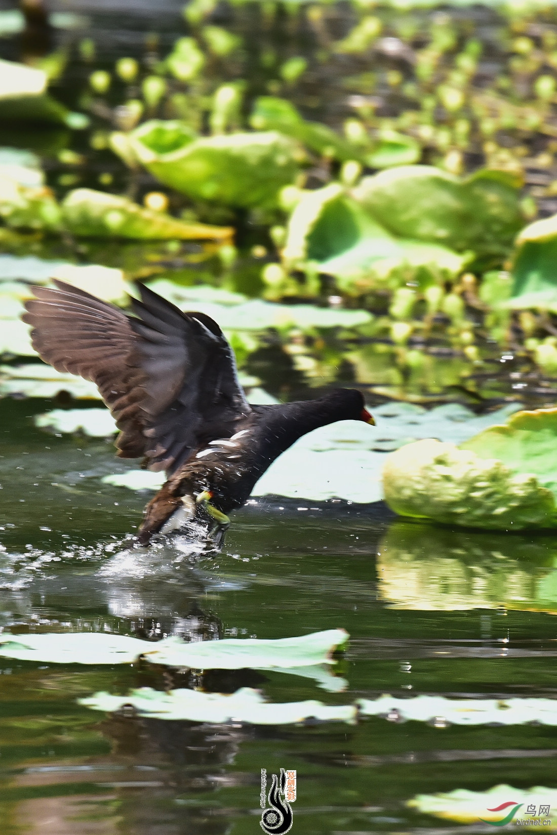 DSC_4092.JPG