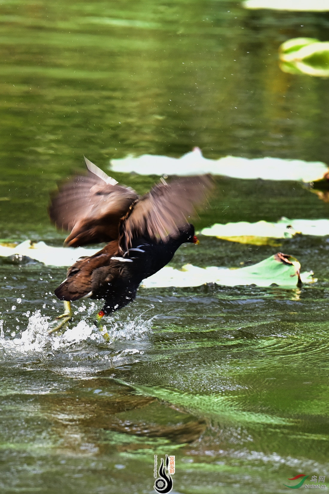 DSC_4087.JPG