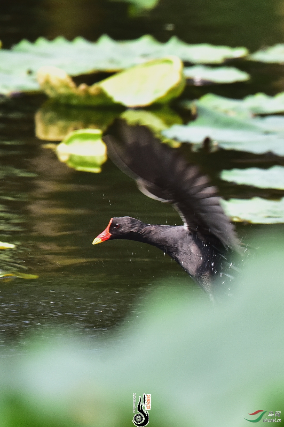 DSC_4082.JPG