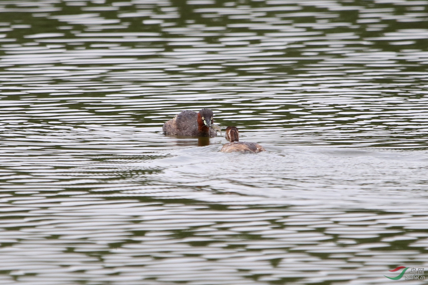 IMG_2828.JPG