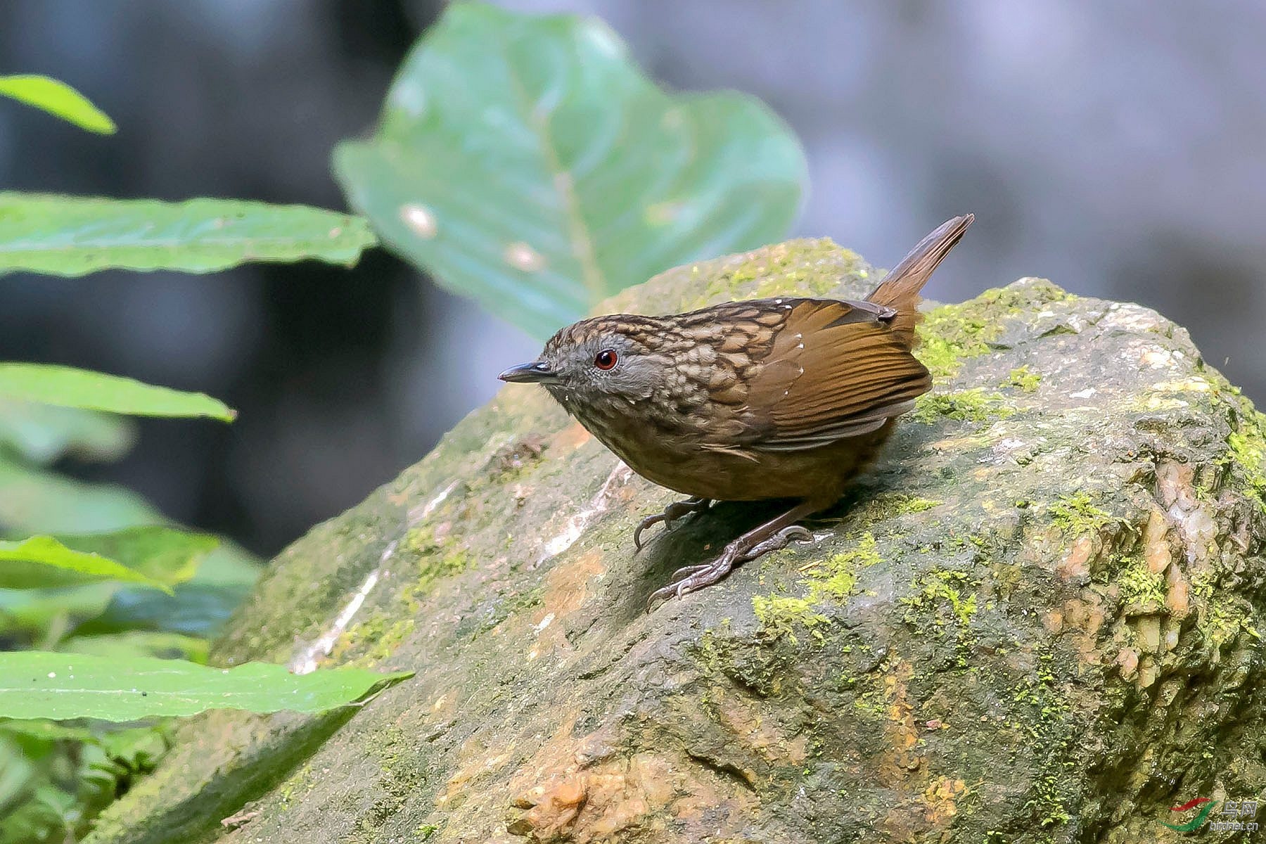 过节,我们去哪儿啊?