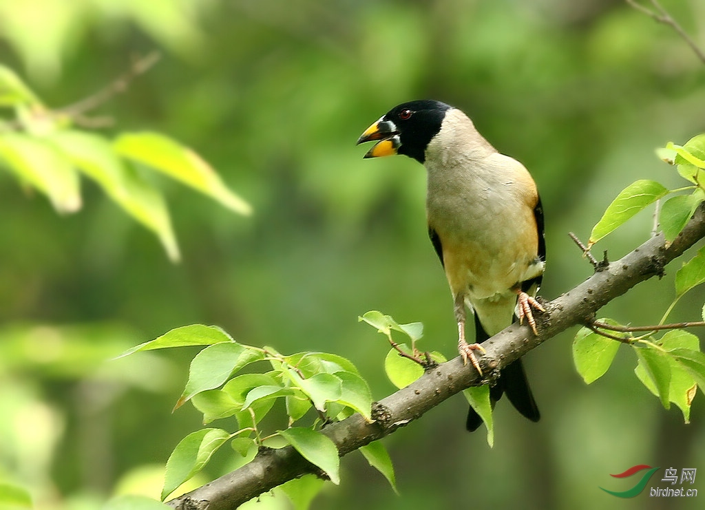 祝老师们周末愉快
