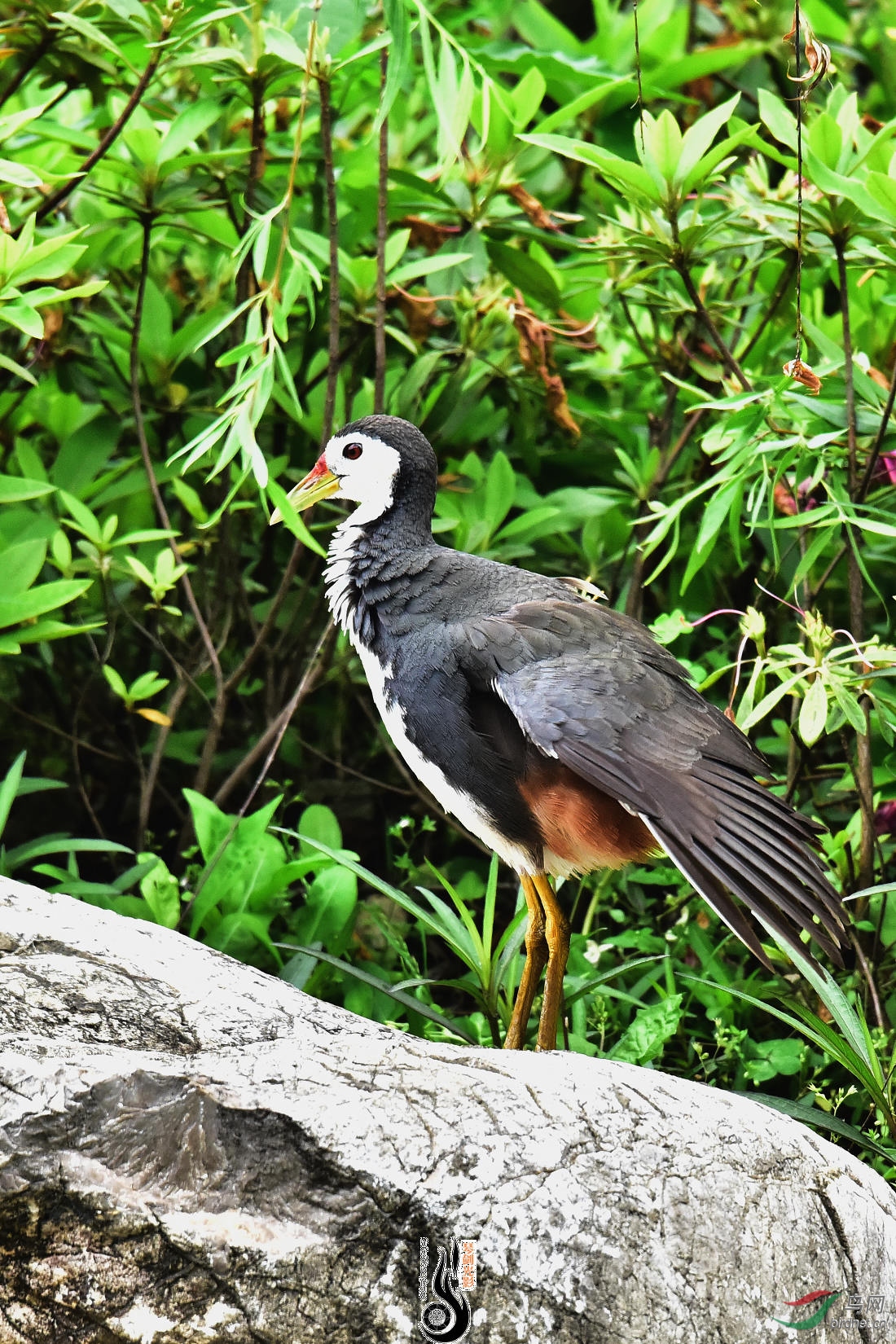 DSC_4953.JPG