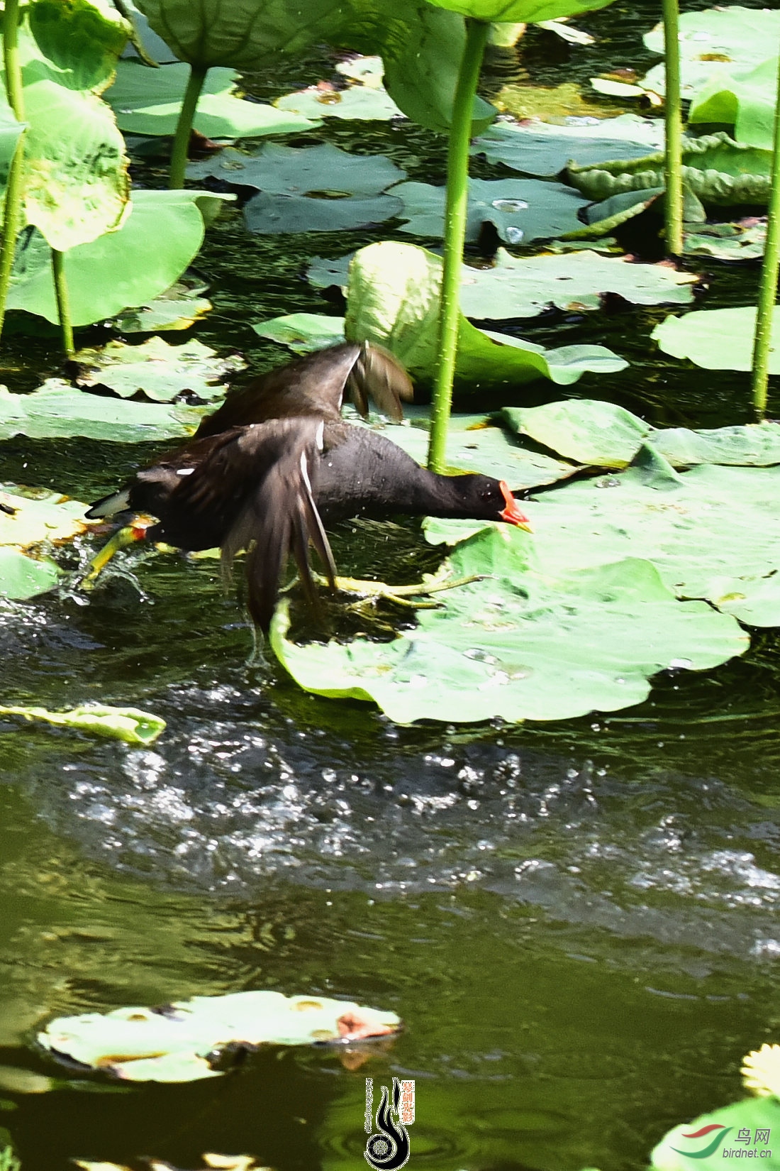 DSC_5013.JPG