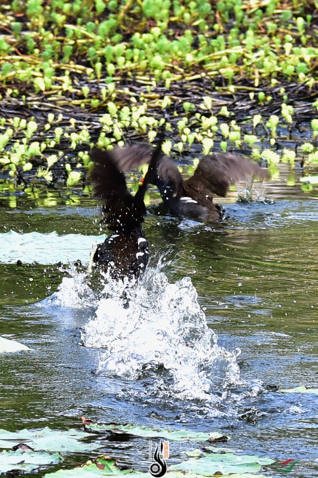 DSC_5068.JPG