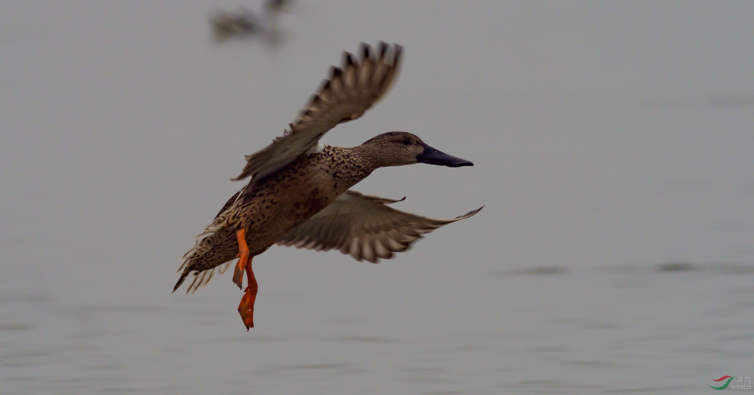 P2024514-ac.jpg