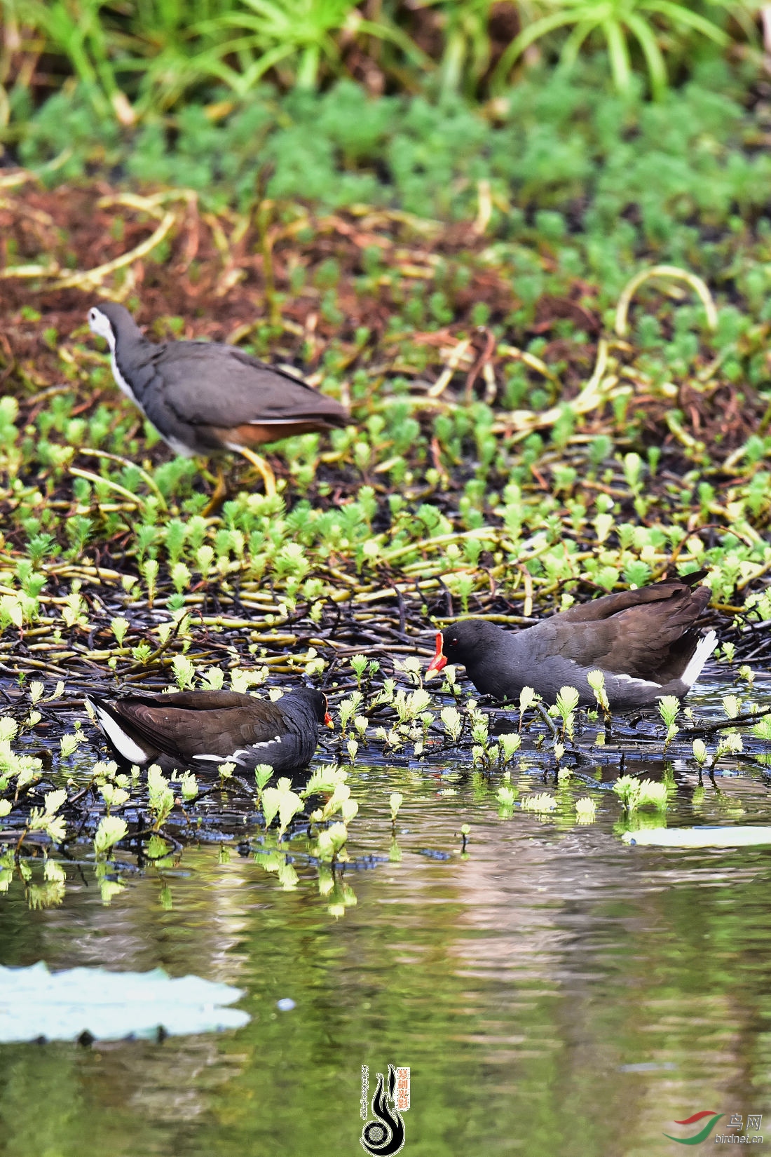 DSC_5096.JPG