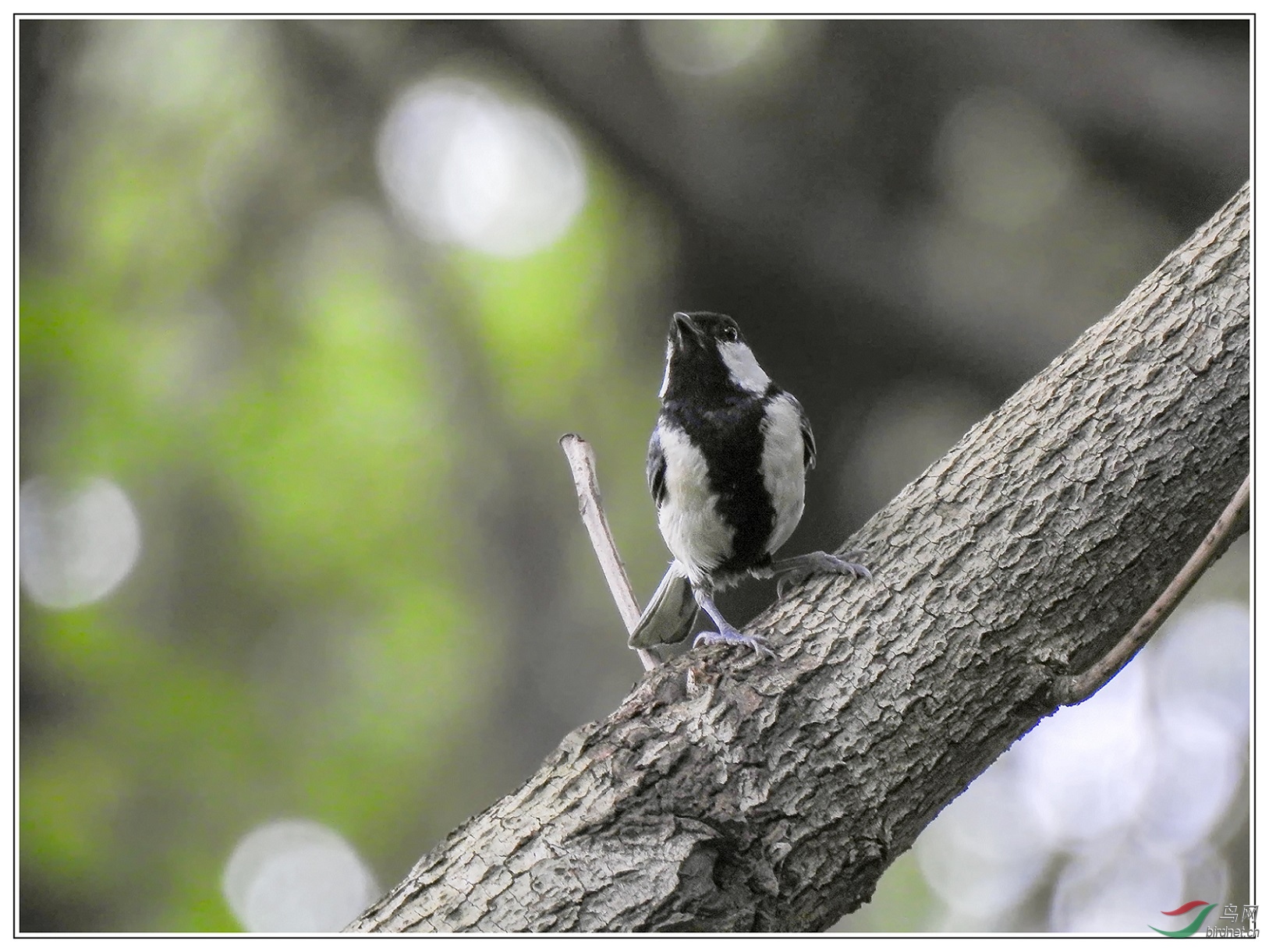 12������