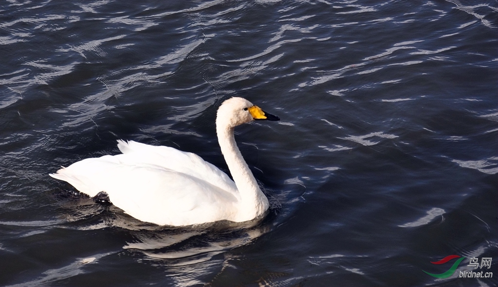 DSC_0175_����.jpg