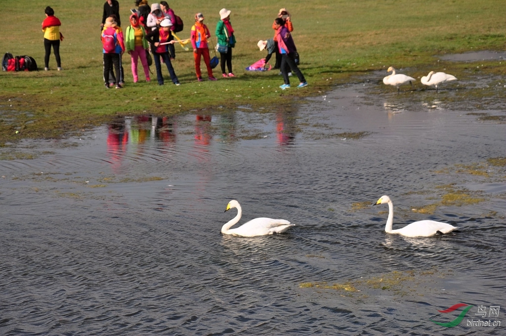 DSC_0176_����.jpg