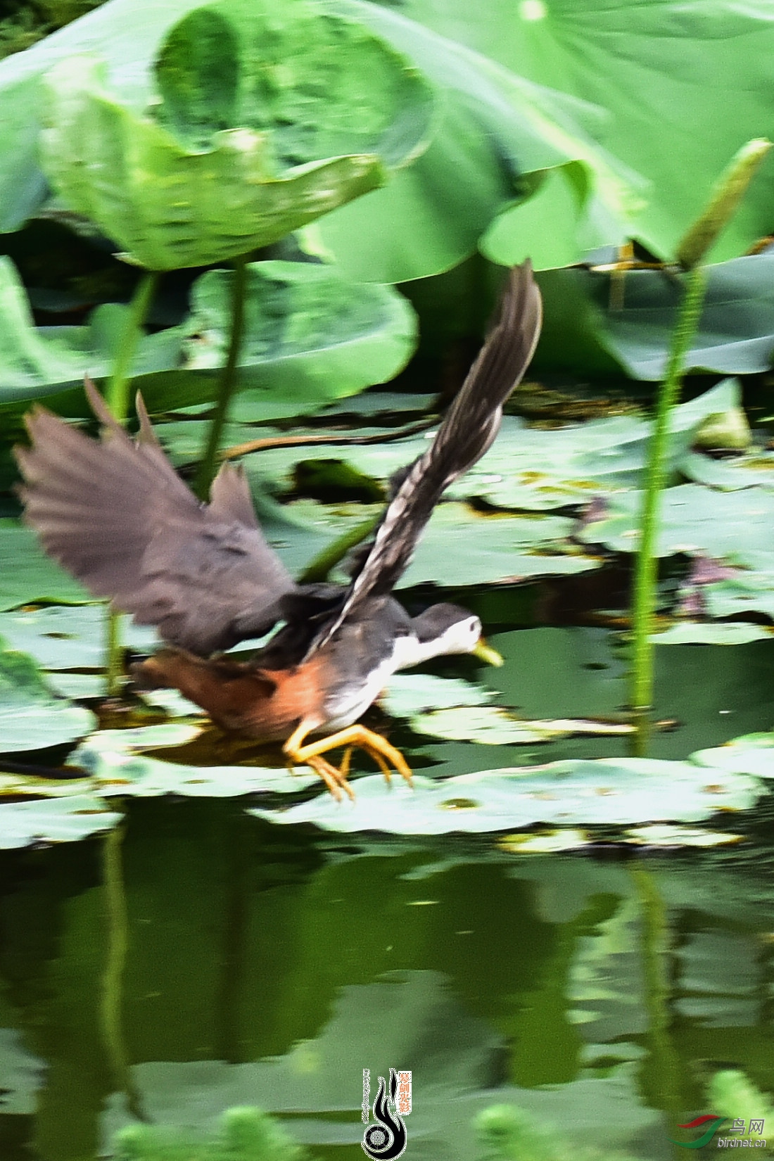 DSC_5122.JPG