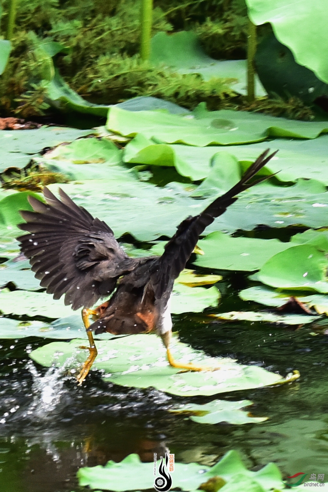 DSC_5123.JPG