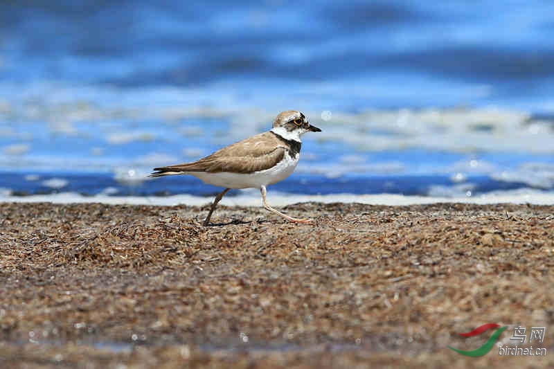 BD0R1806_����.jpg