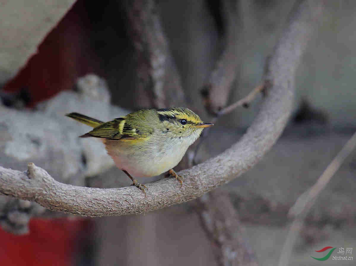 OA0A1286.jpg