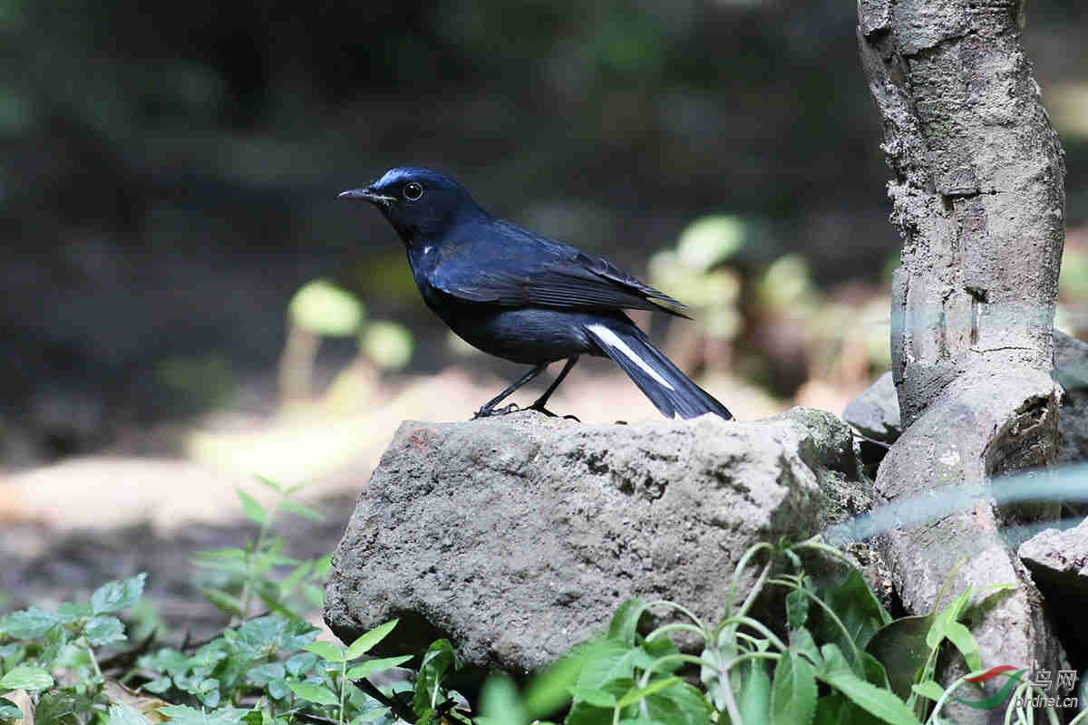 OA0A2959.jpg