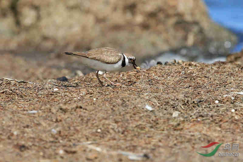 BD0R1830_����.jpg