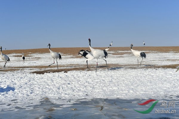 DSC_7369.jpg