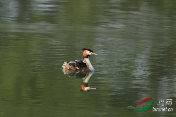 pta18.jpg