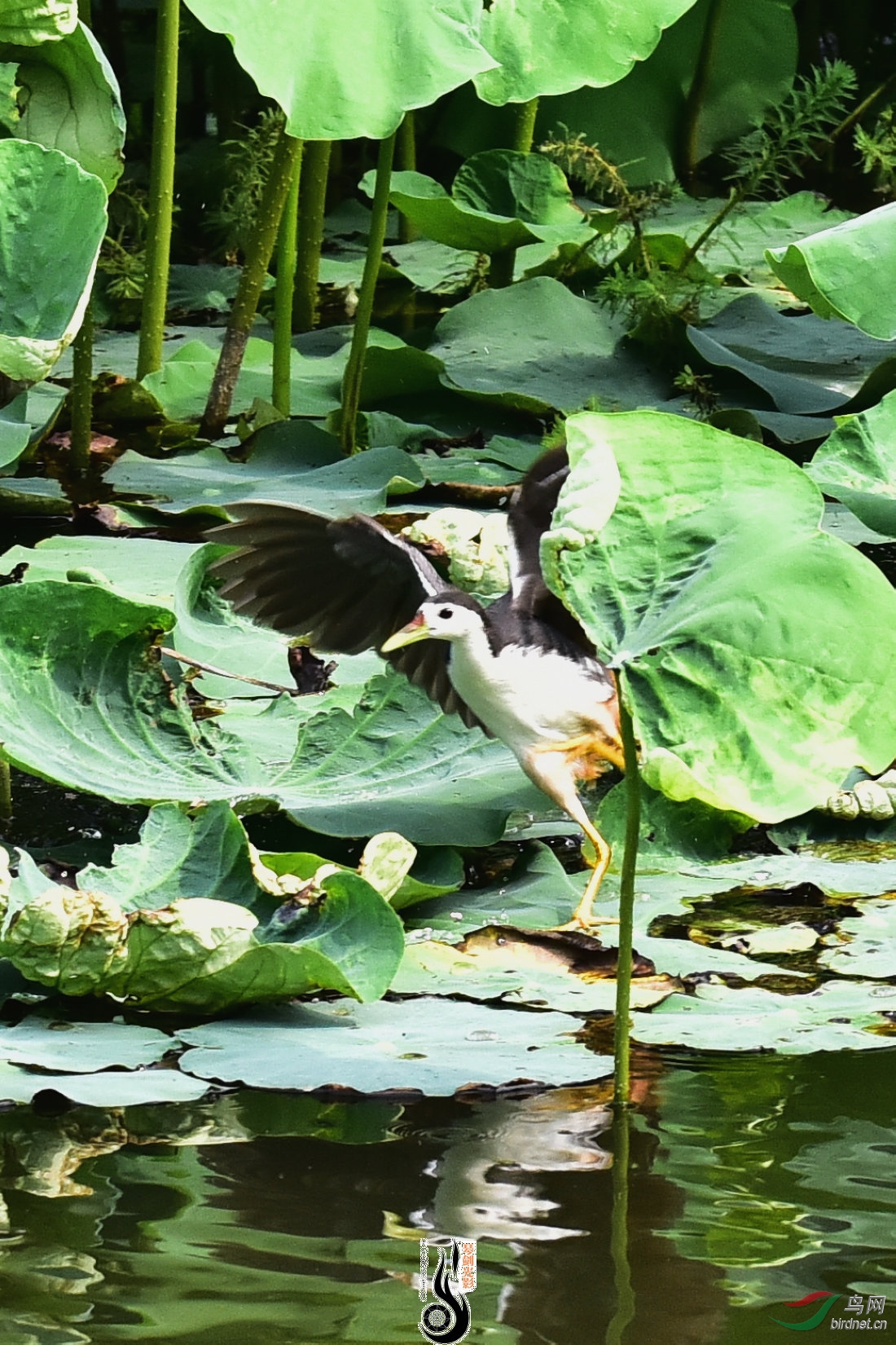 DSC_5130.JPG