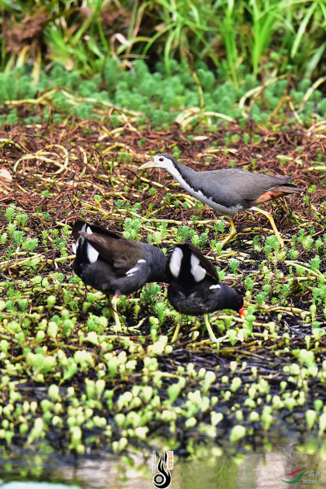 DSC_5167.JPG
