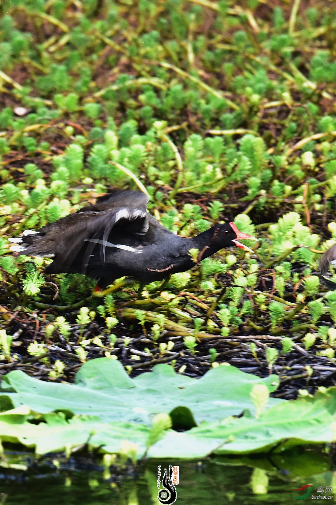 DSC_5212.JPG