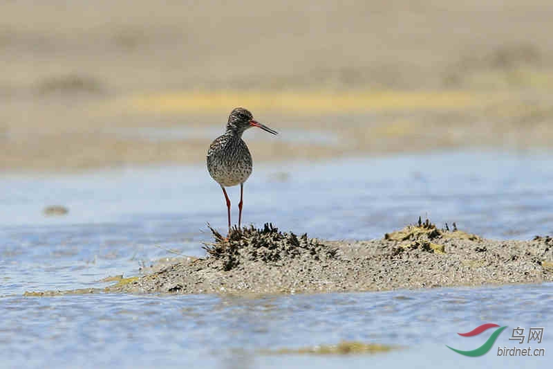 BD0R0785_����.jpg
