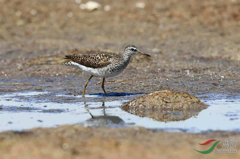 BD0R1777_����.jpg