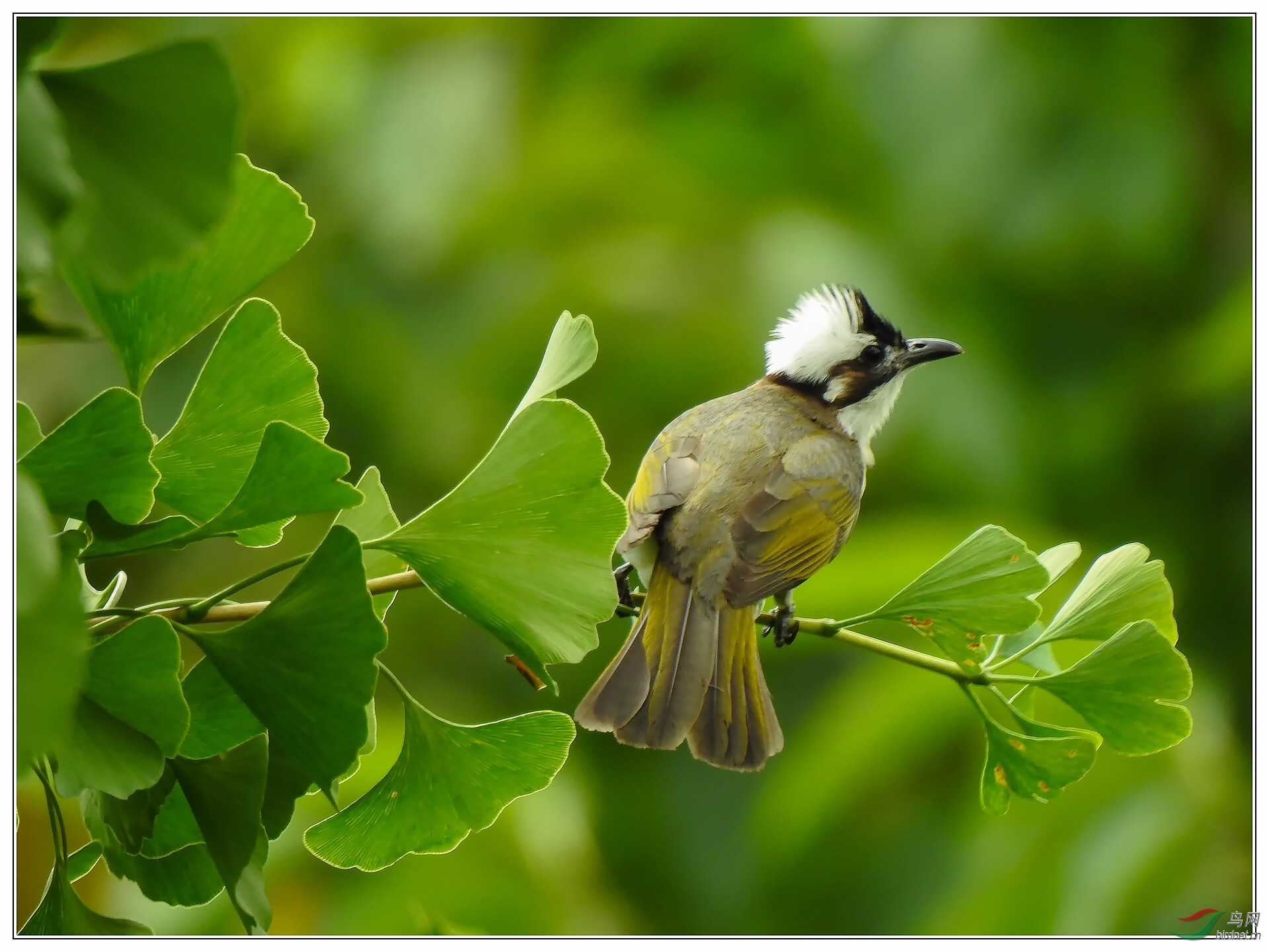 �������15�ס�