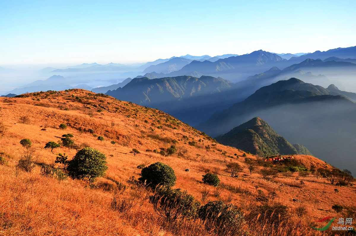 福建光泽乌君山风光