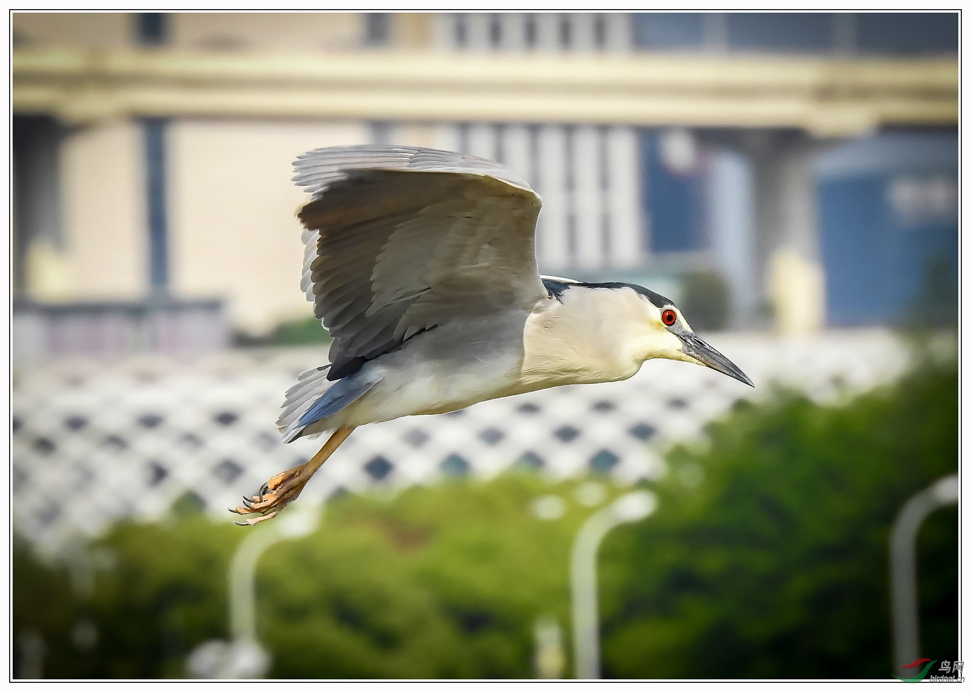 �ɹ�����