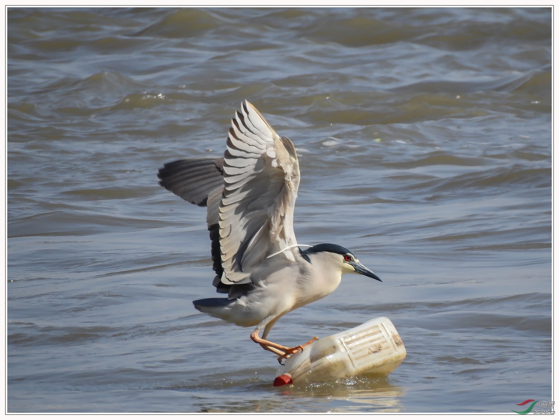 ����20�װ�