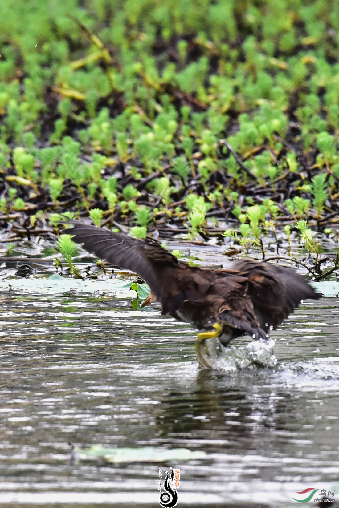 DSC_5436.JPG