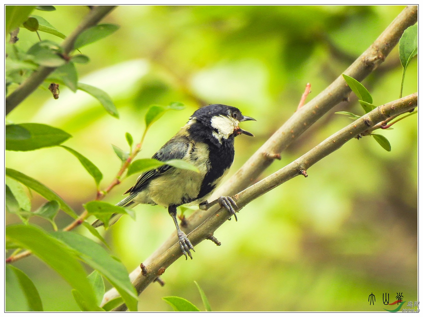 10������