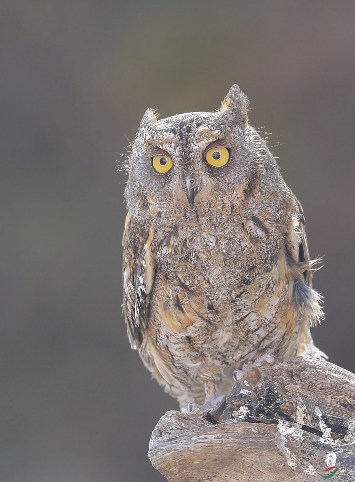各位老师周一问好