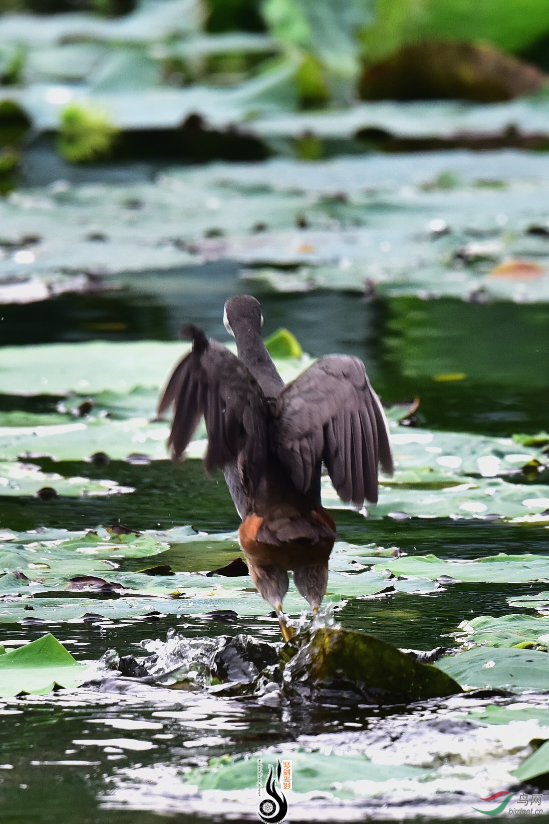 DSC_5542.JPG