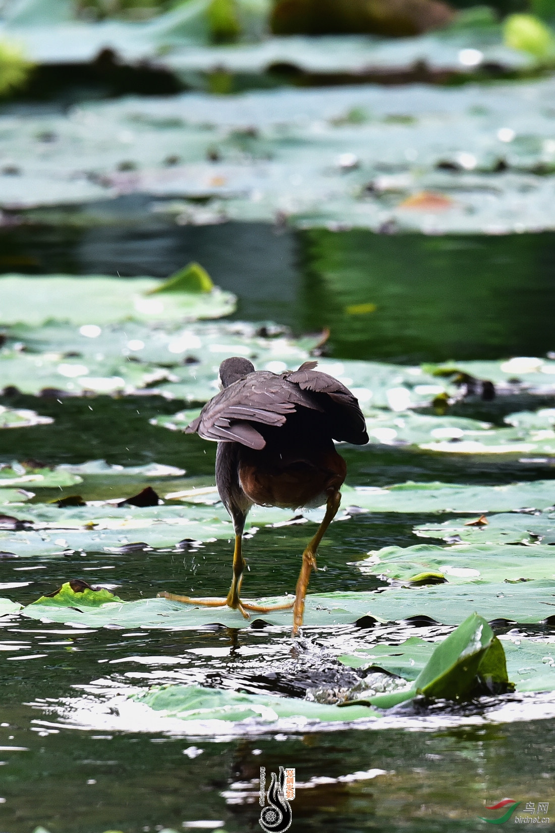 DSC_5541.JPG
