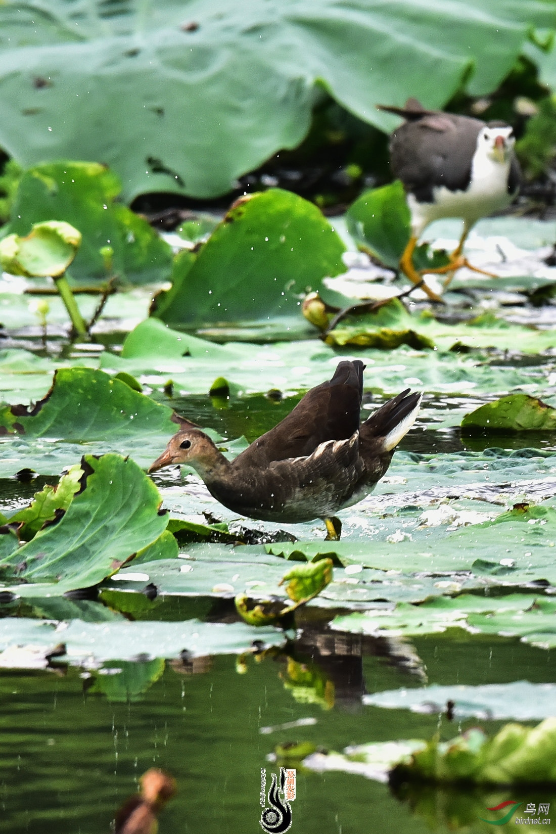 DSC_5887.JPG