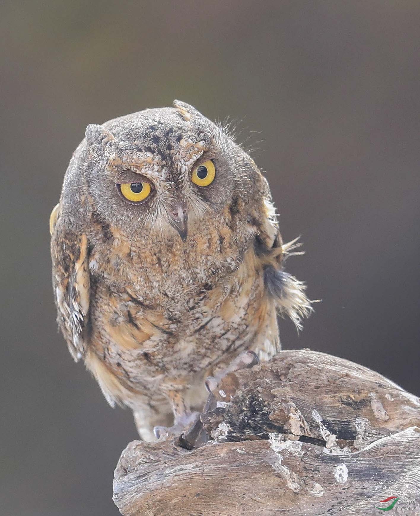 各位老师周三好