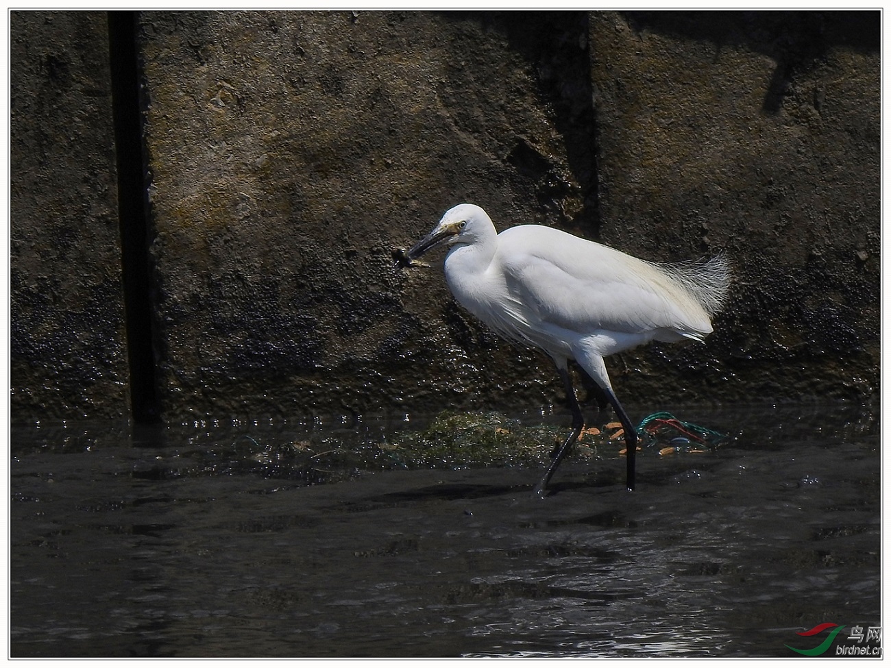 25������