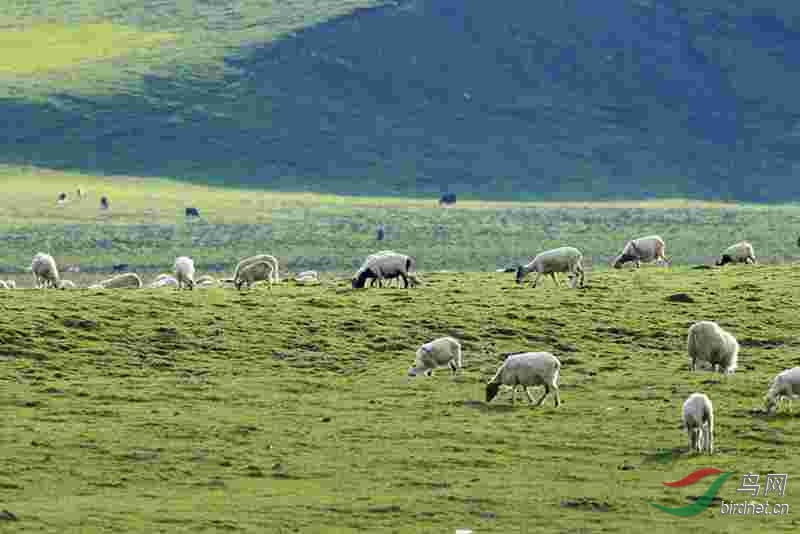 BD0R0020_���� (2).jpg