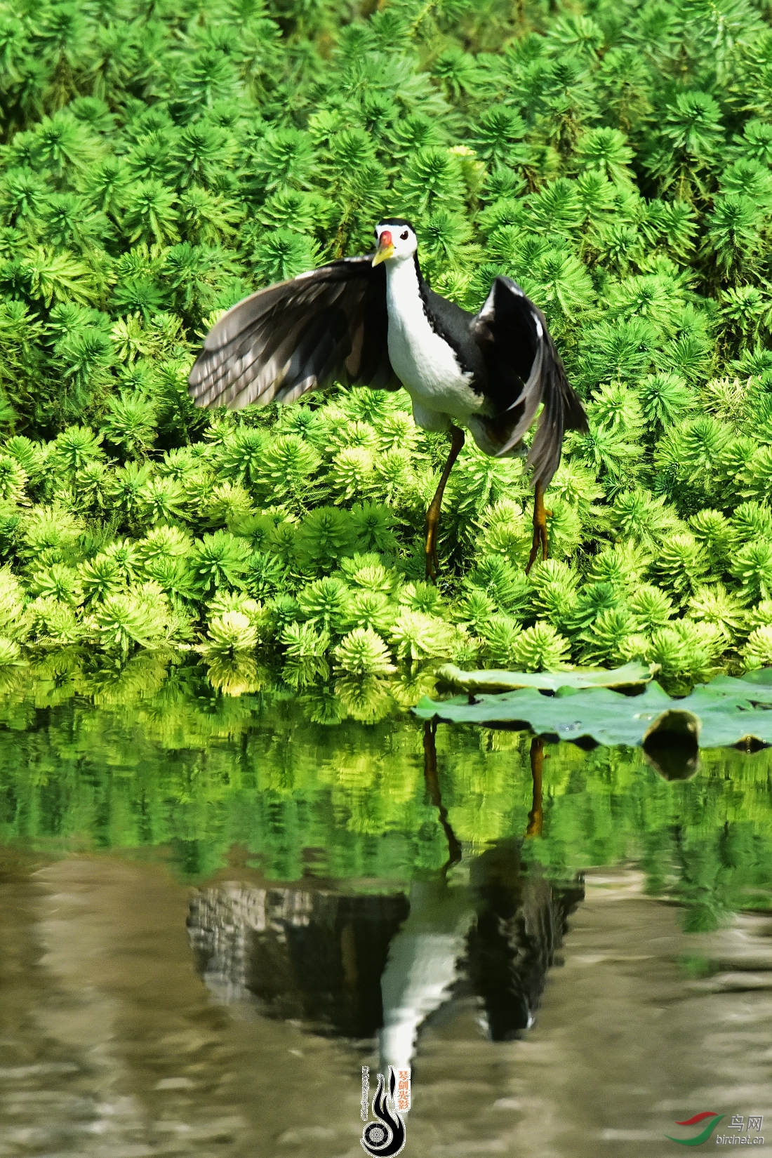 DSC_6394.JPG