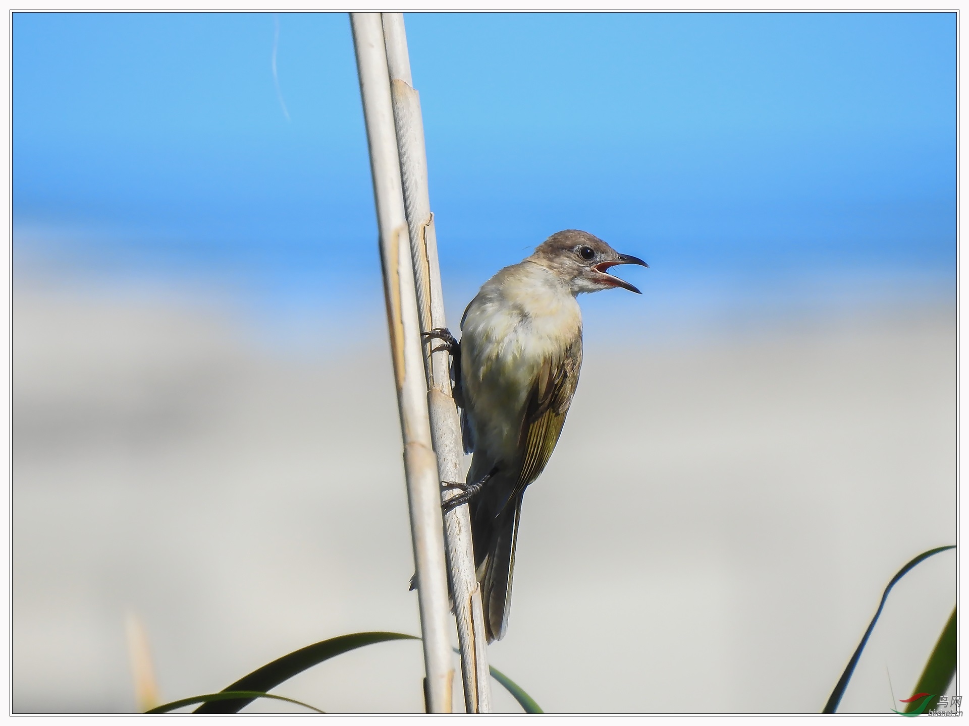 12������