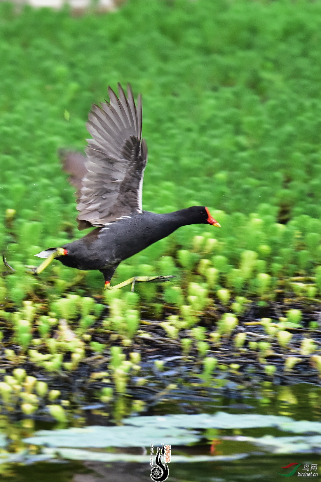 DSC_6668.JPG